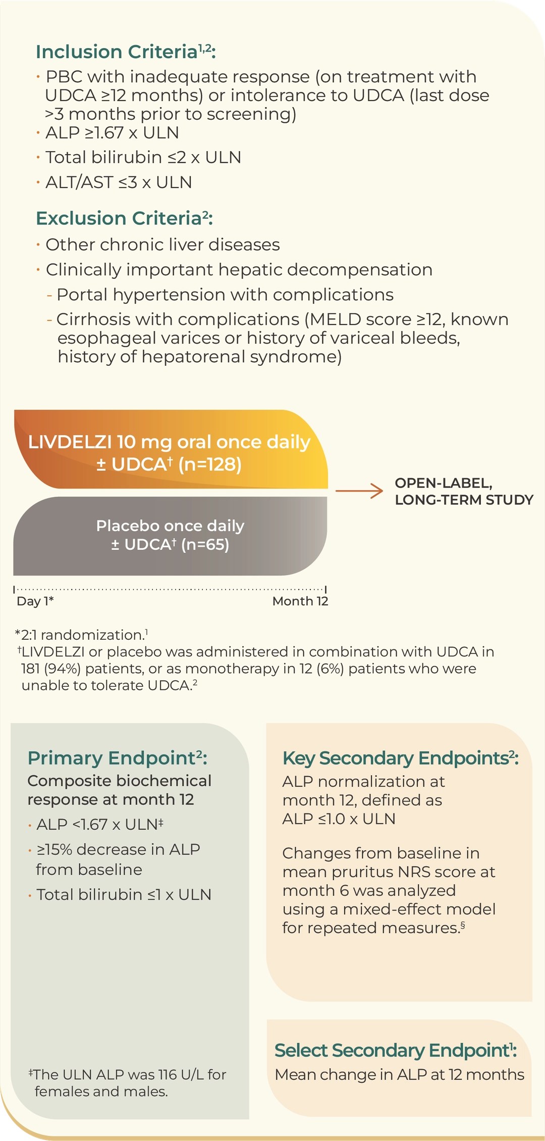 Diagram depicting the study design of the RESPONSE trial, a placebo-­controlled, randomized, phase 3 study evaluating the efficacy and safety of LIVDELZI 10 mg oral once daily ± ursodeoxycholic acid, or UDCA, versus placebo once daily ± UDCA. The primary endpoint was a biochemical response assessed at month 12, and defined as: • Alkaline phosphatase (ALP) levels <1.67 times the upper limit of normal (ULN) • A decrease in ALP levels of at least 15% from baseline • Normalization of total bilirubin serum levels