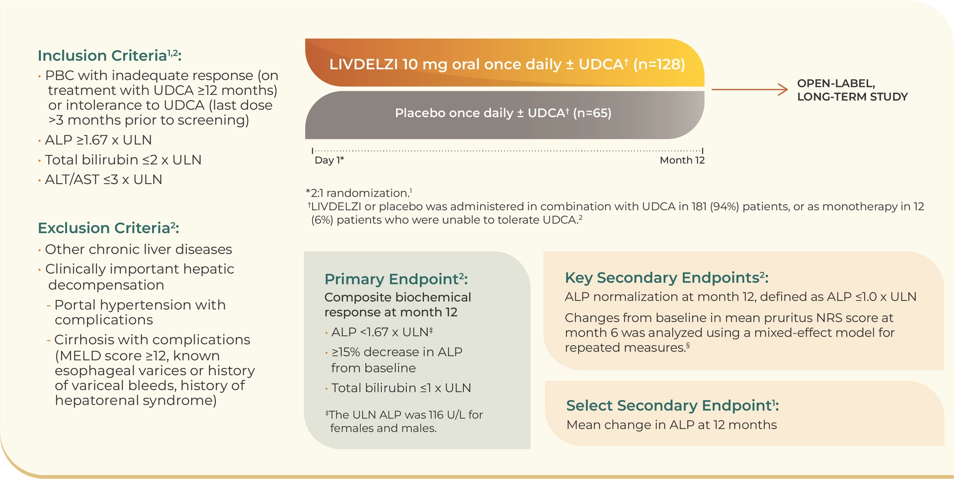 Diagram depicting the study design of the RESPONSE trial, a placebo-­controlled, randomized, phase 3 study evaluating the efficacy and safety of LIVDELZI 10 mg oral once daily ± ursodeoxycholic acid, or UDCA, versus placebo once daily ± UDCA. The primary endpoint was a biochemical response assessed at month 12, and defined as: • Alkaline phosphatase (ALP) levels <1.67 times the upper limit of normal (ULN) • A decrease in ALP levels of at least 15% from baseline • Normalization of total bilirubin serum levels